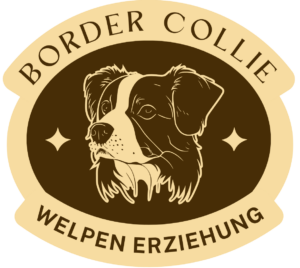 Border Collie Welpen Erziehung logo